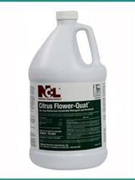 Solutions Neutral Cleaner - Citrus Flower Quat Neutral Disinfectant Cleaner Gal